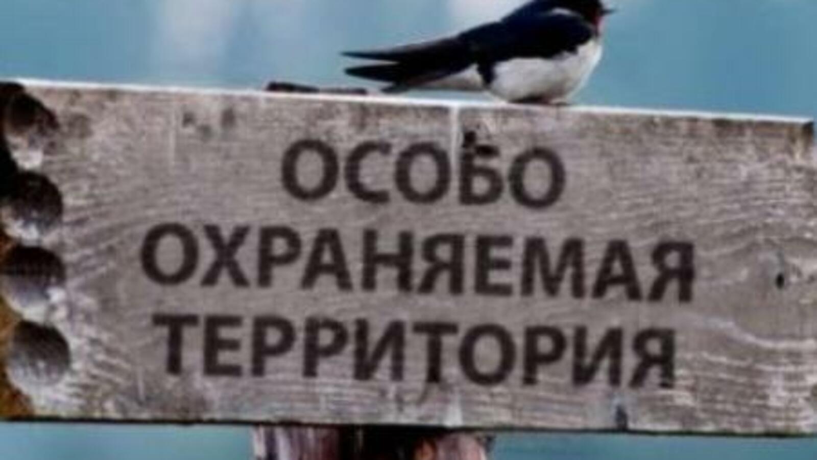 rahimitegez.ru