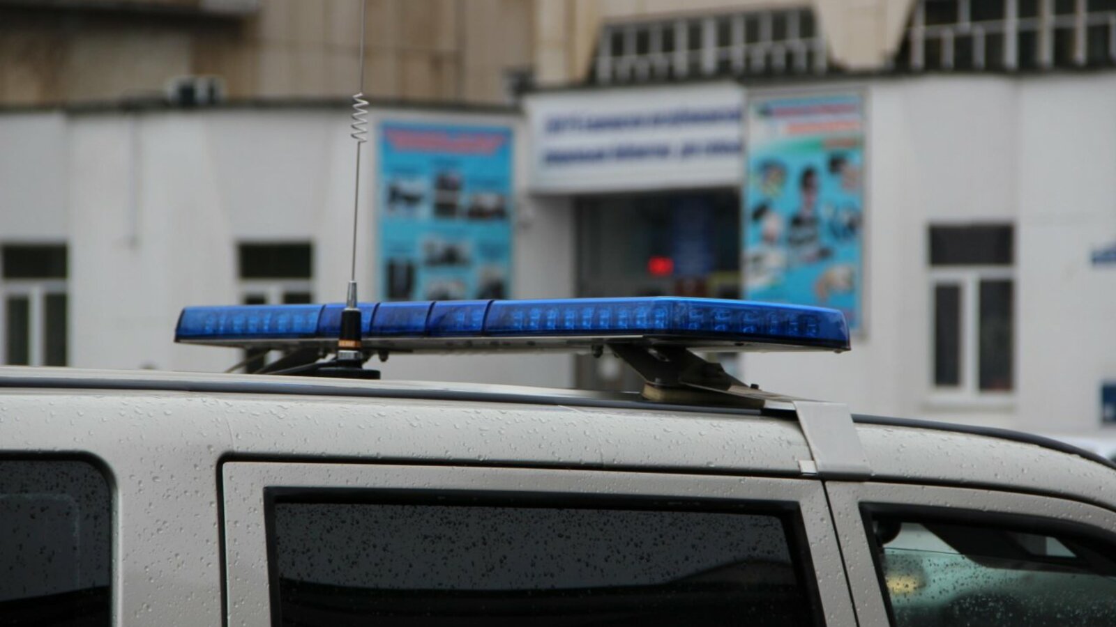 Ксения Калинина