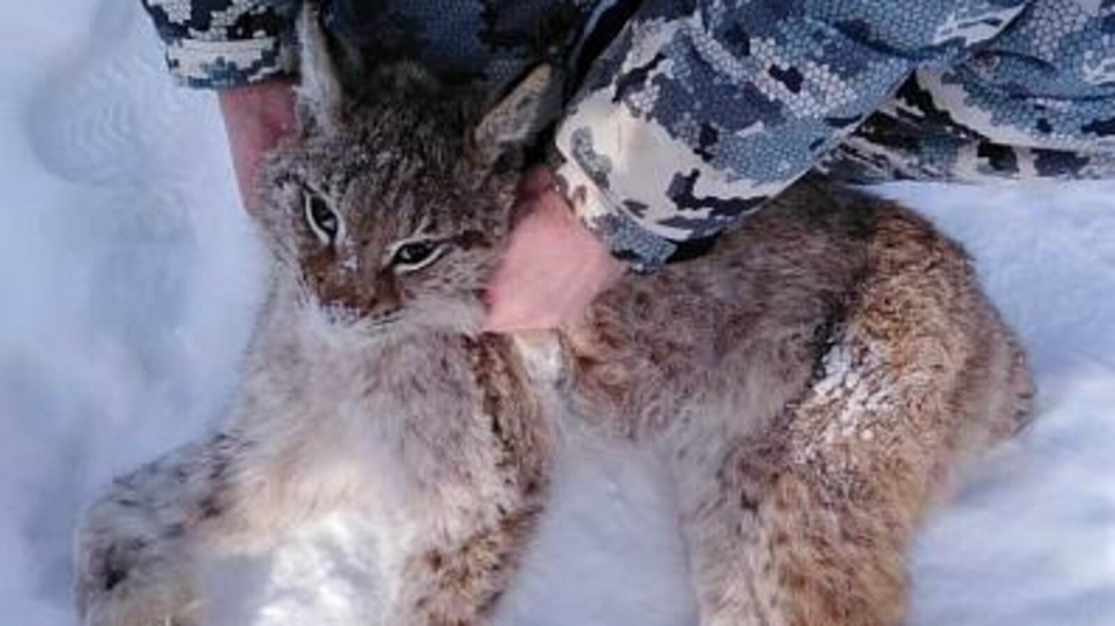 Дуванский вестник