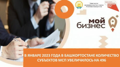 В Башкирии в январе количество субъектов МСП увеличилось на 496