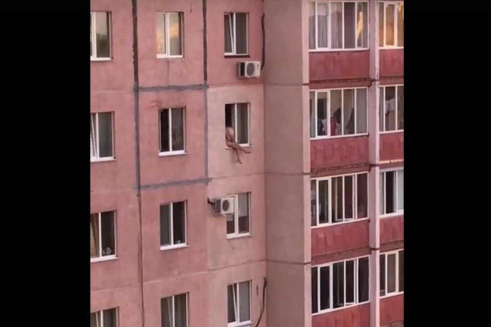 очевидец