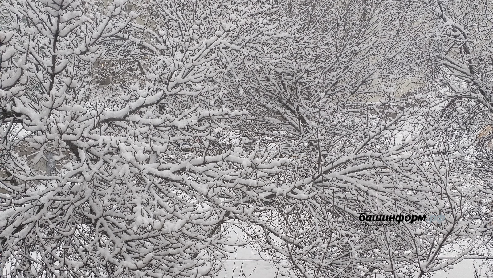 автор ИА «Башинформ»