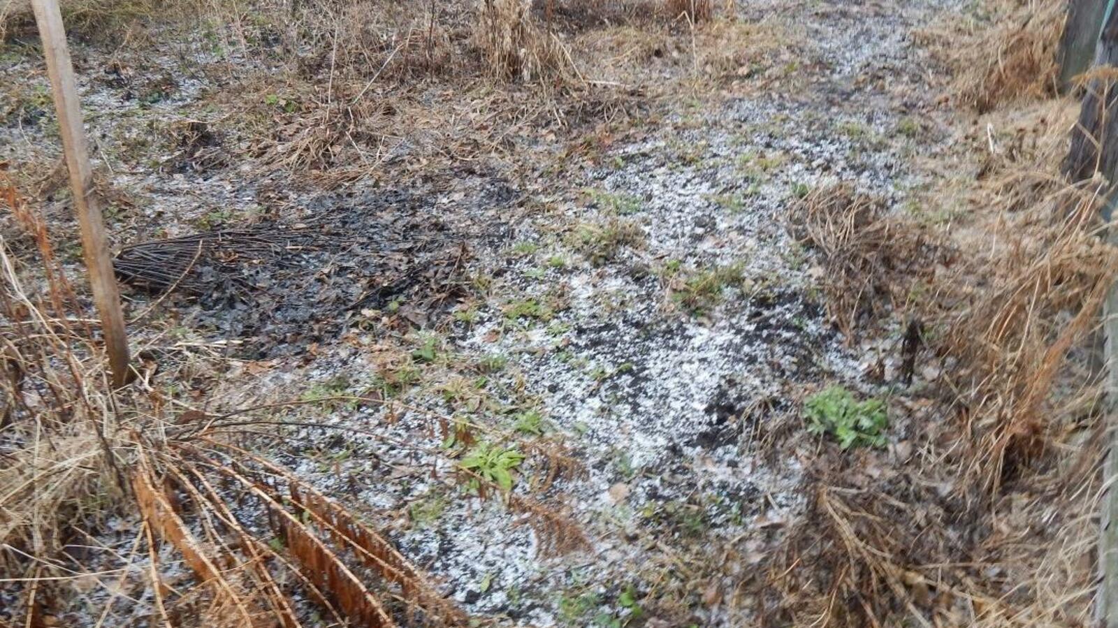 ИА «Башинформ»