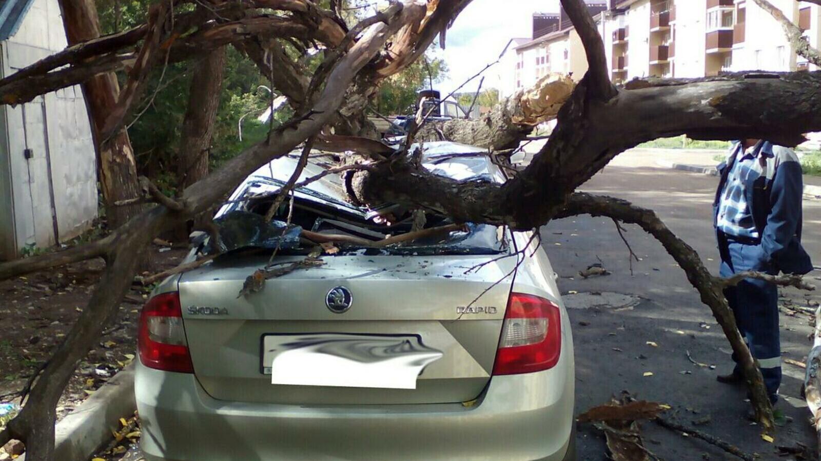 группа «БашДТП»