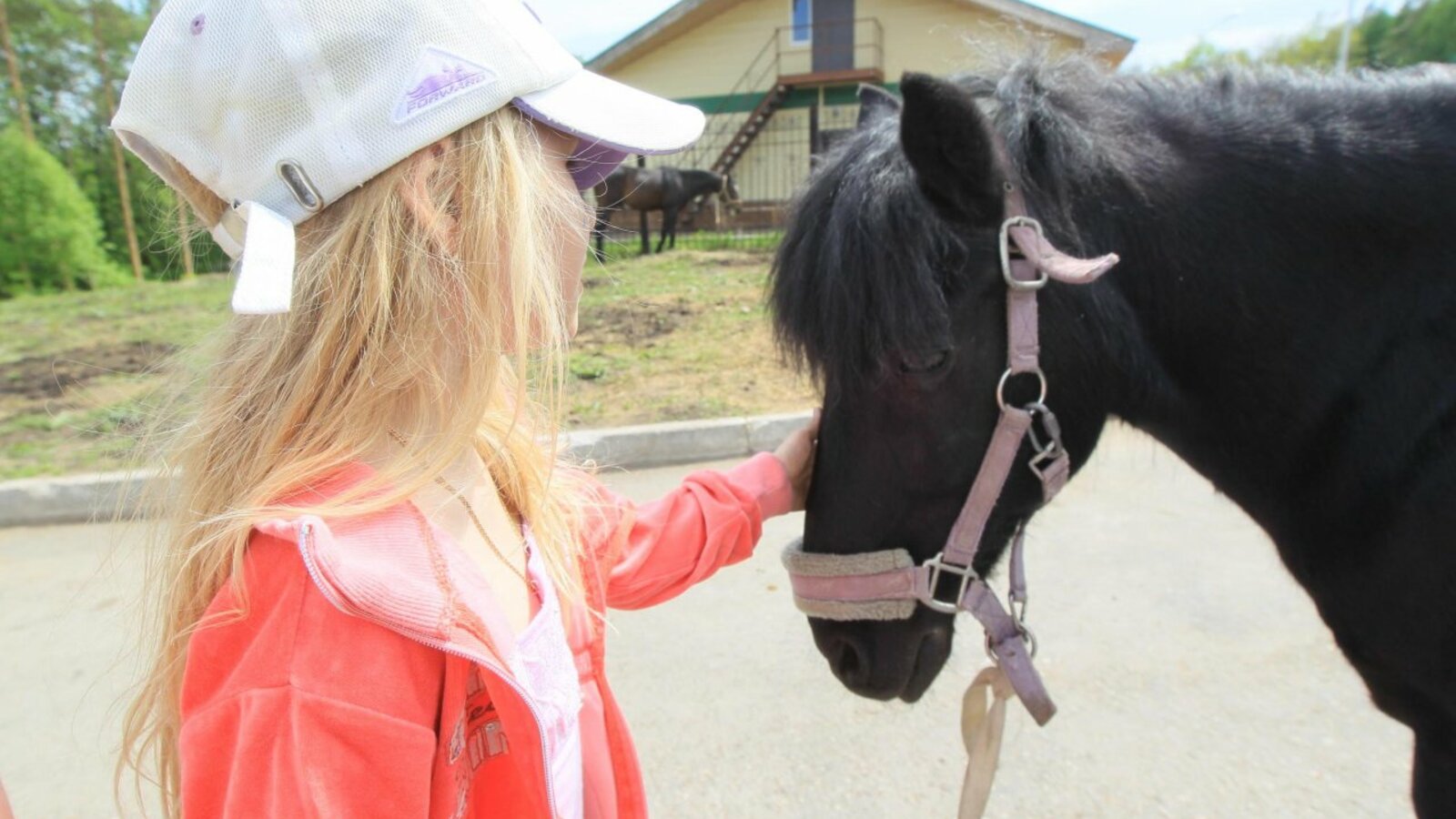 Андрей Старостин