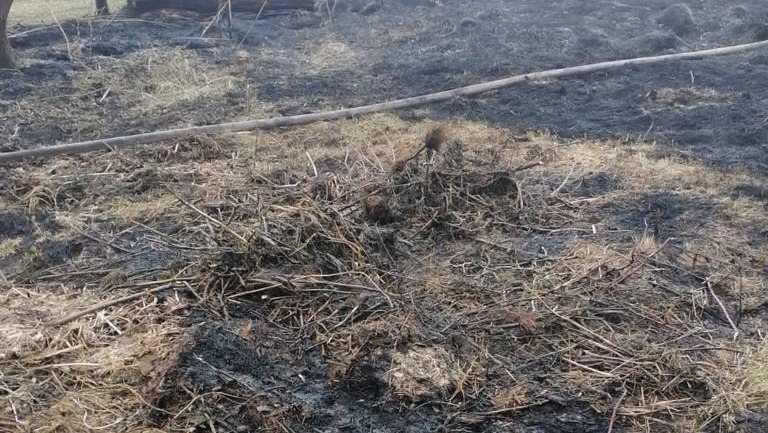 МЧС по РБ