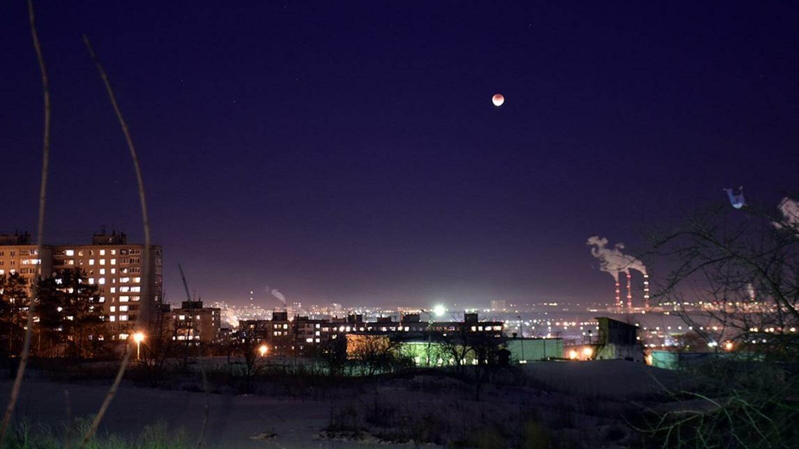 Дмитрий Шаталин, Гузель Мукминова, Сергей Суворин, Лилия Бикчурина