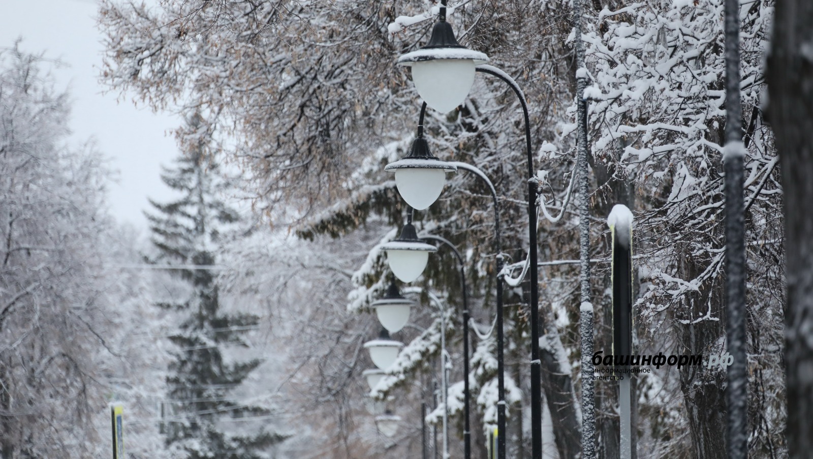 Валерий Шахов ИА «Башинформ»