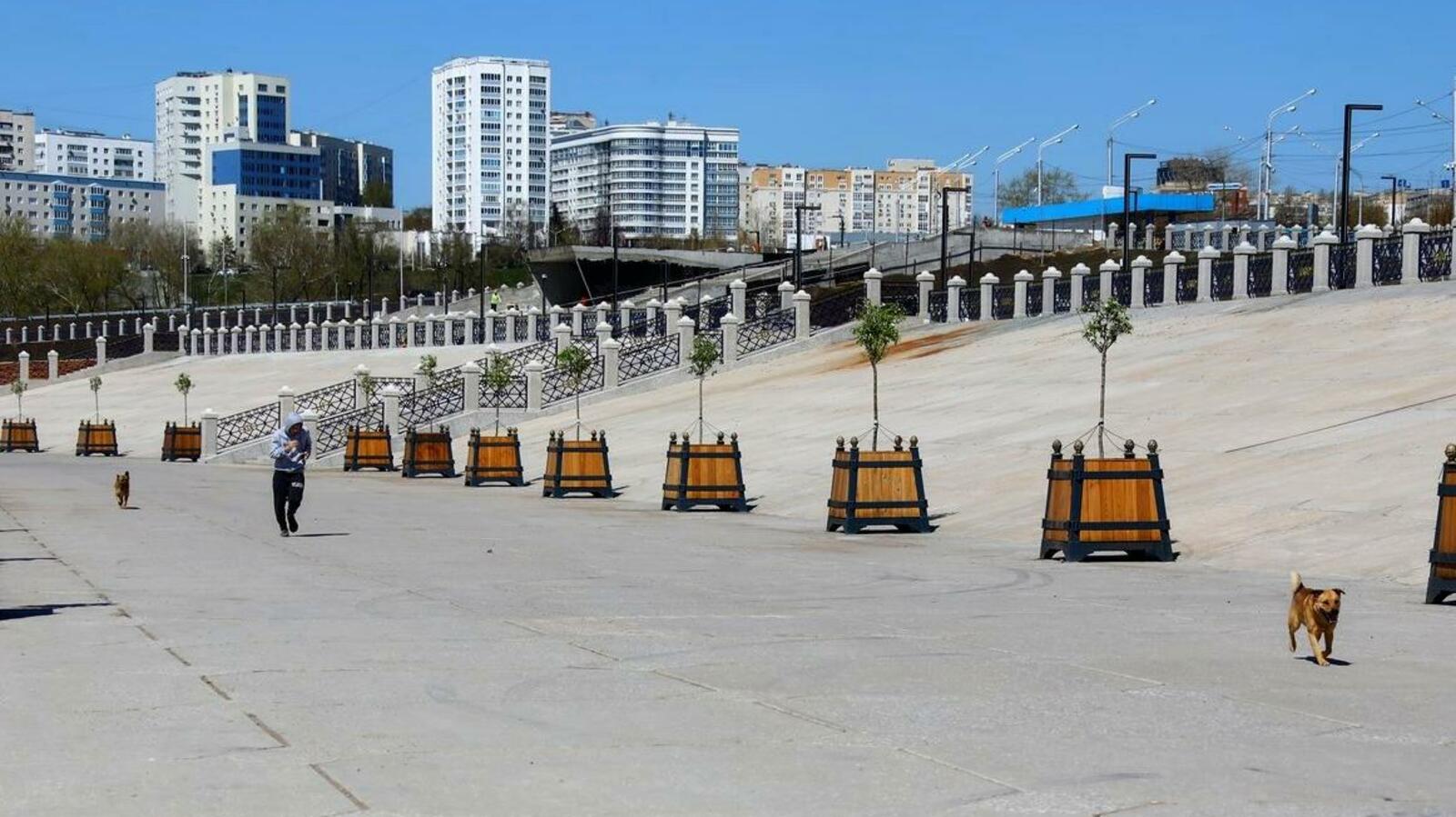 Валерий Шахов