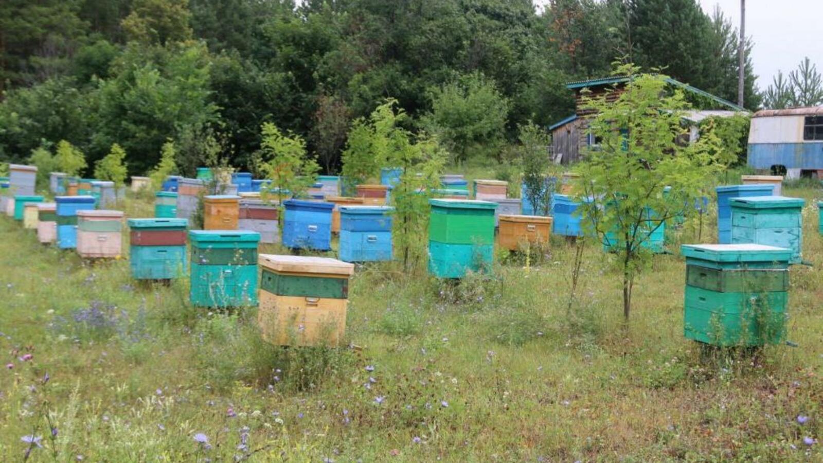 Минсельхоз РБ