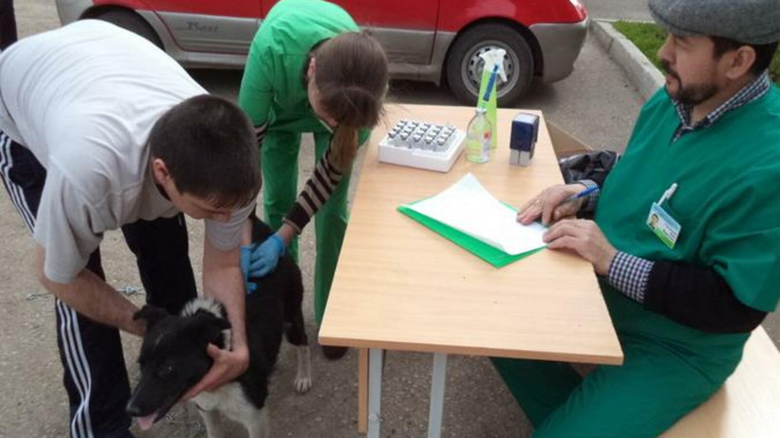 администрация Уфы