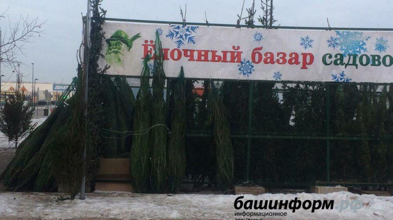 ИА «Башинформ»