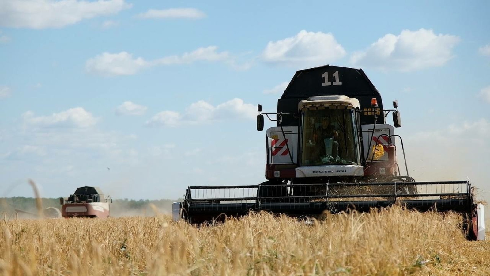 телеграм-канал соцсети Андрея Назарова