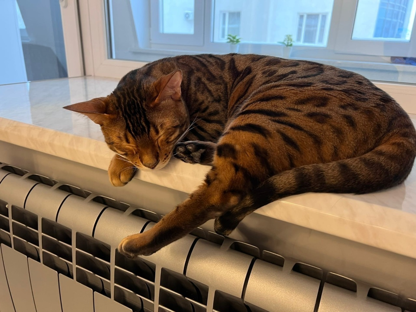 Ксения Калинина