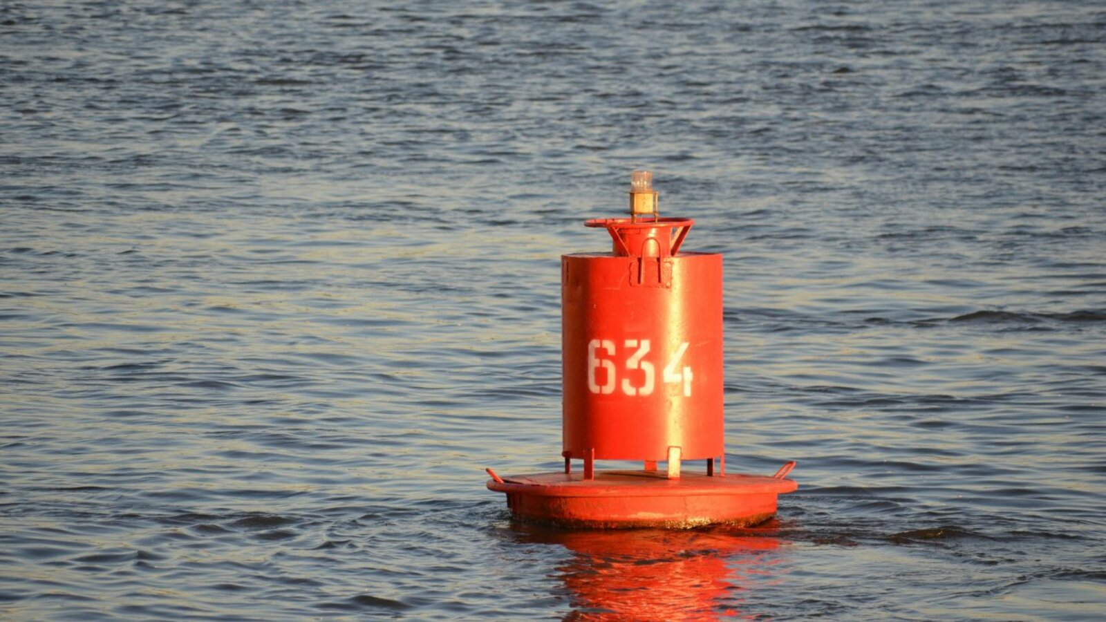 Ксения Калинина