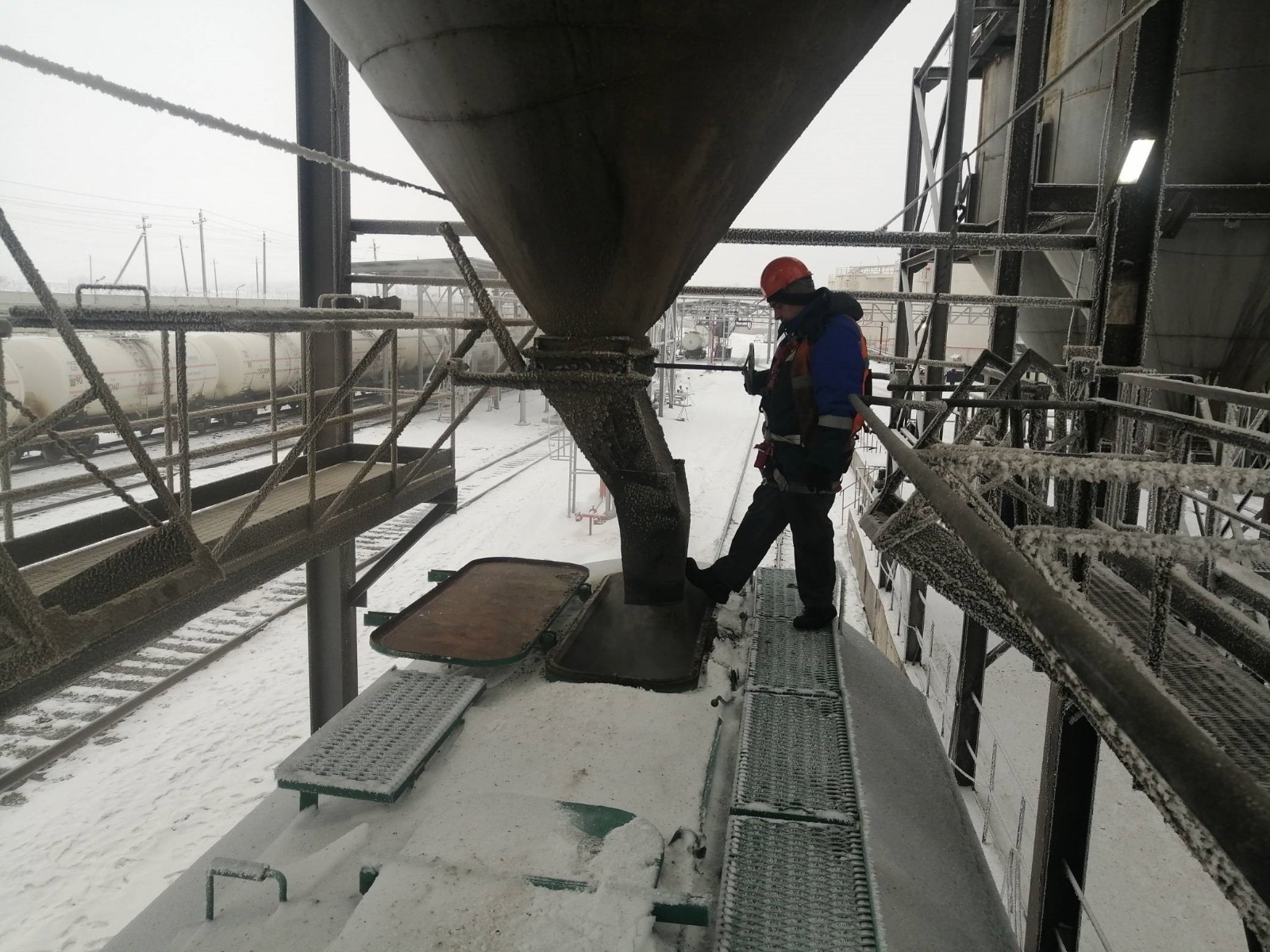 Bashkortostan sent 35 railcars of sunflower meal to Africa