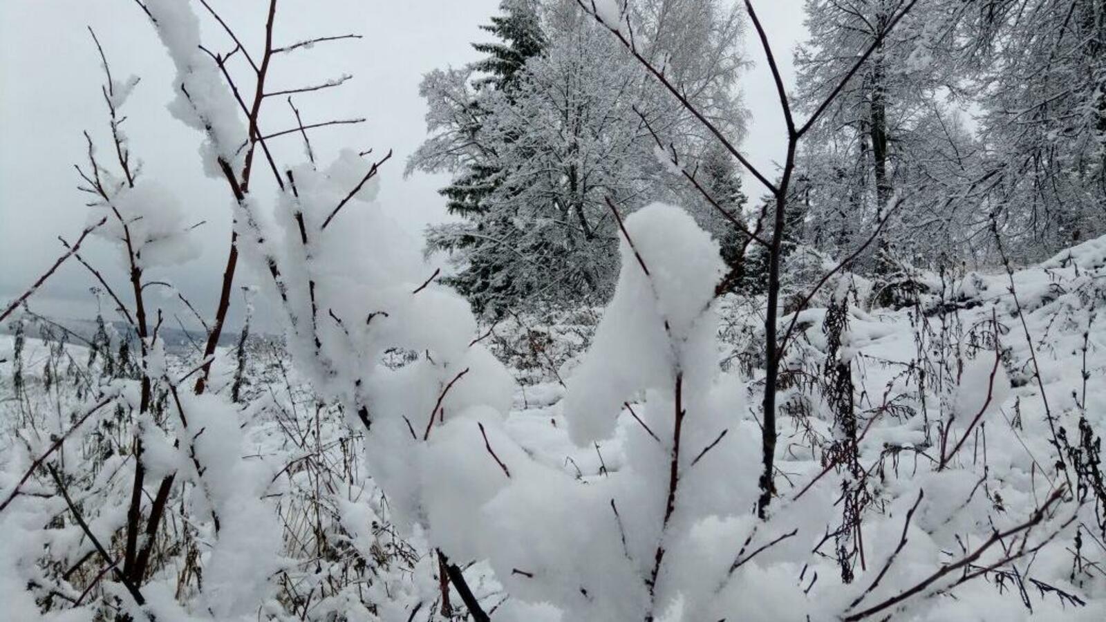 ИА «Башинформ»