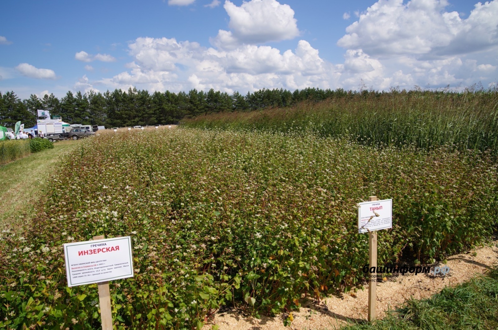 Олег Яровиков архив ИА «Башинформ»