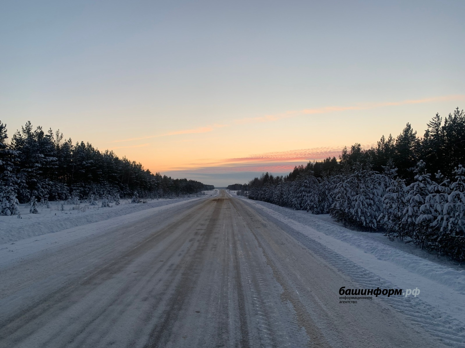 Галина Бахшиева