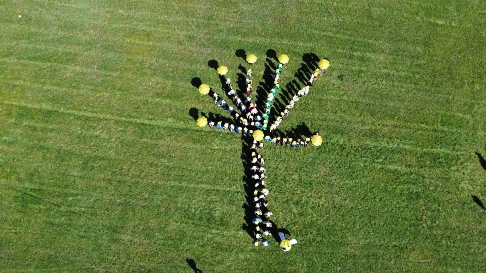 минэкологии РБ