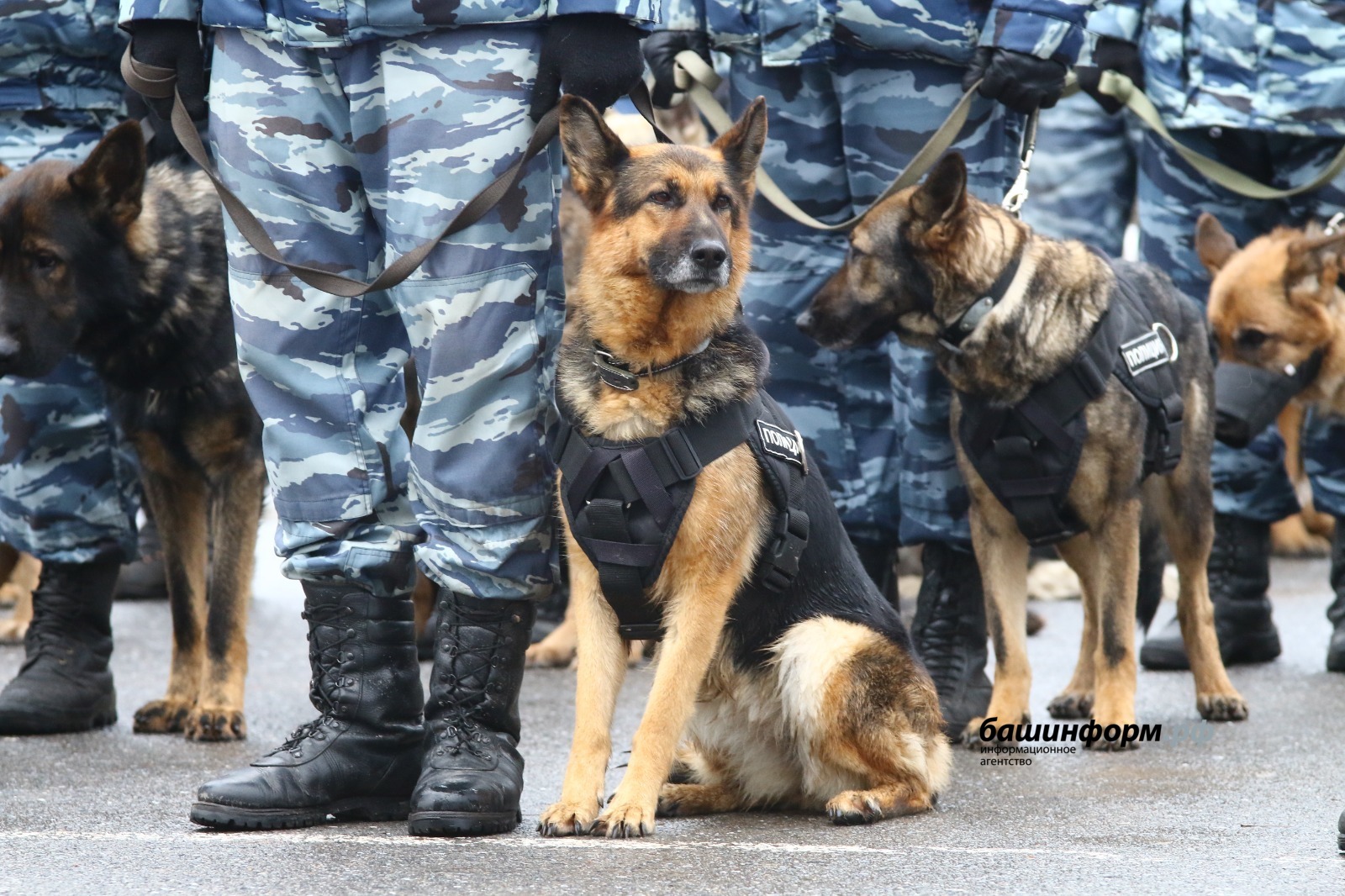 Валерий Шахов