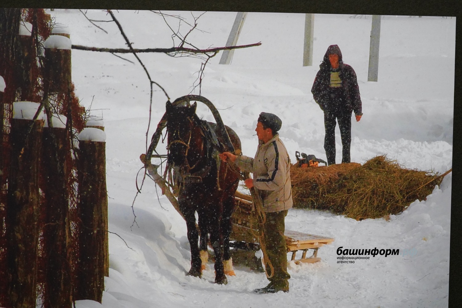 Олег Яровиков   ИА «Башинформ»