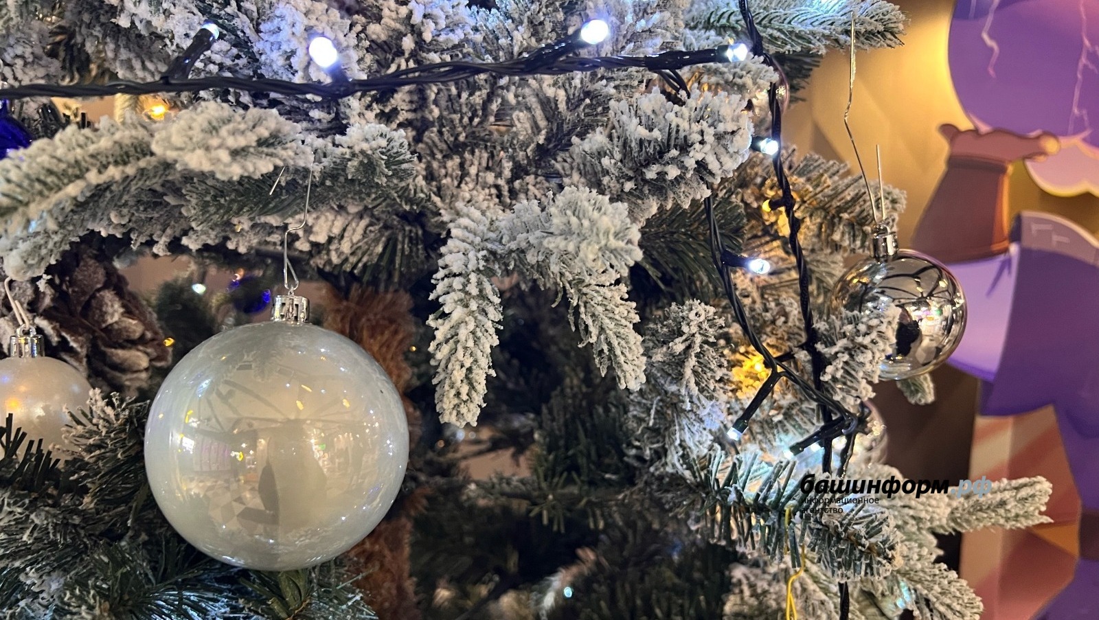 Ксения Калинина  ИА Башинформ