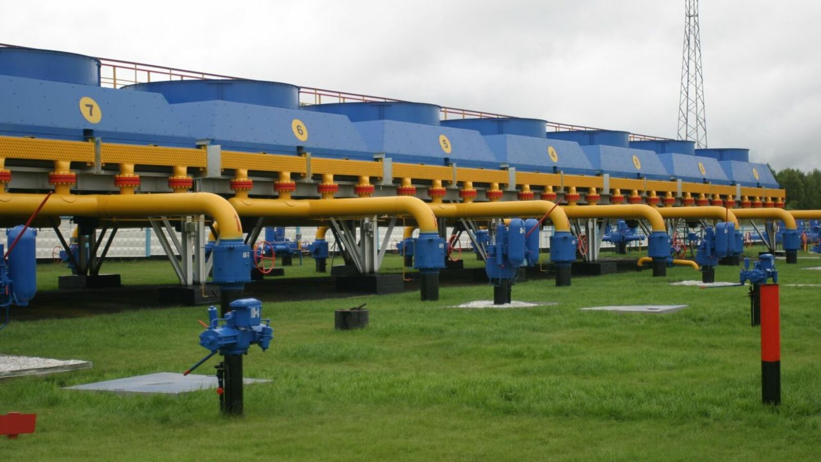 Андрей Старостин