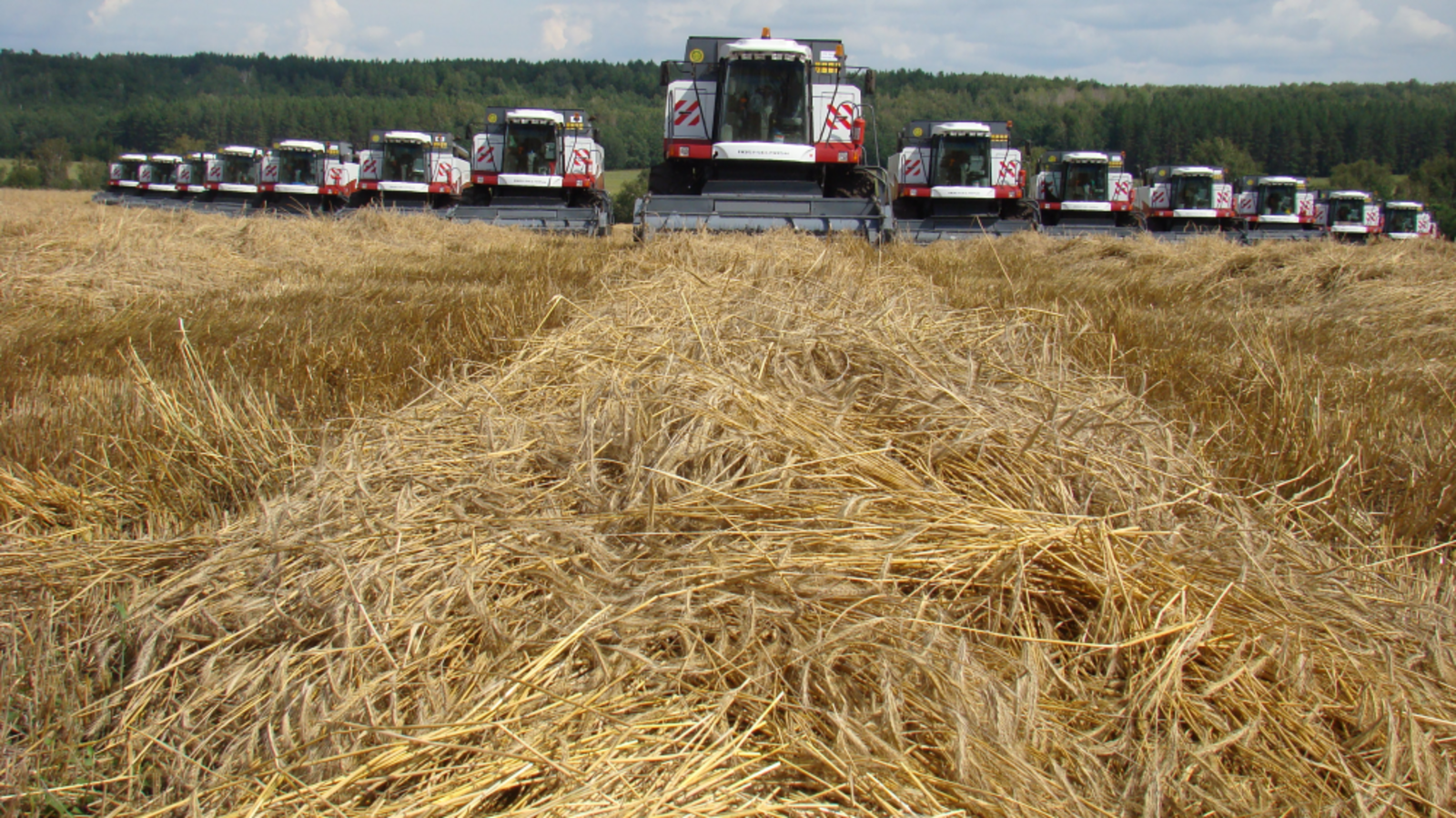 Минсельхоз РБ