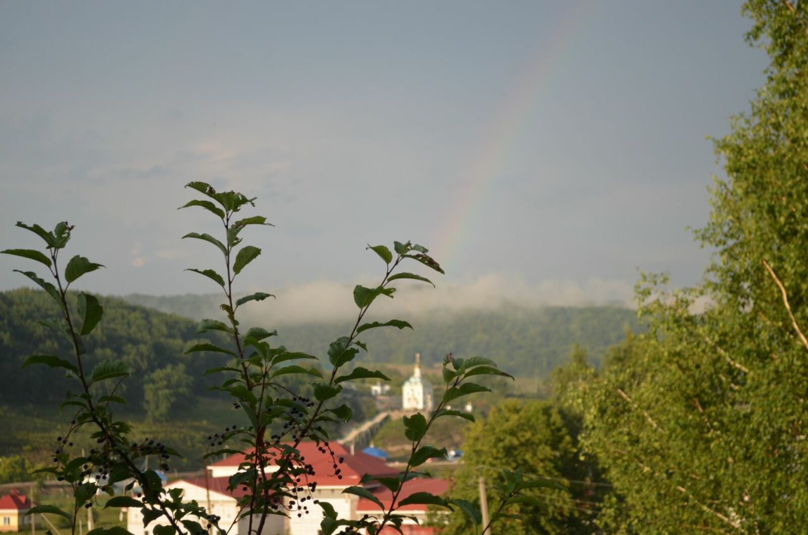Ксения Калинина