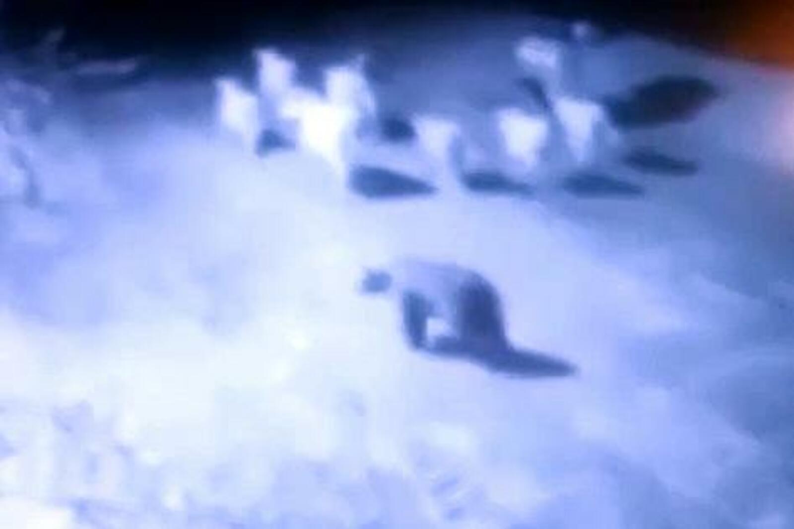 скриншот видео