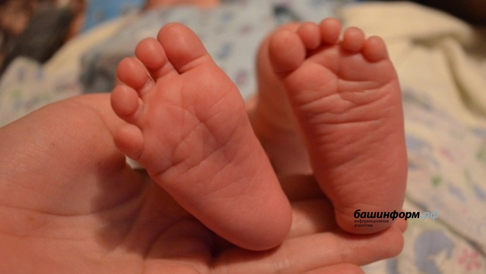 Ксения Калинина / «Башинформ» мәғлүмәт агентлығы