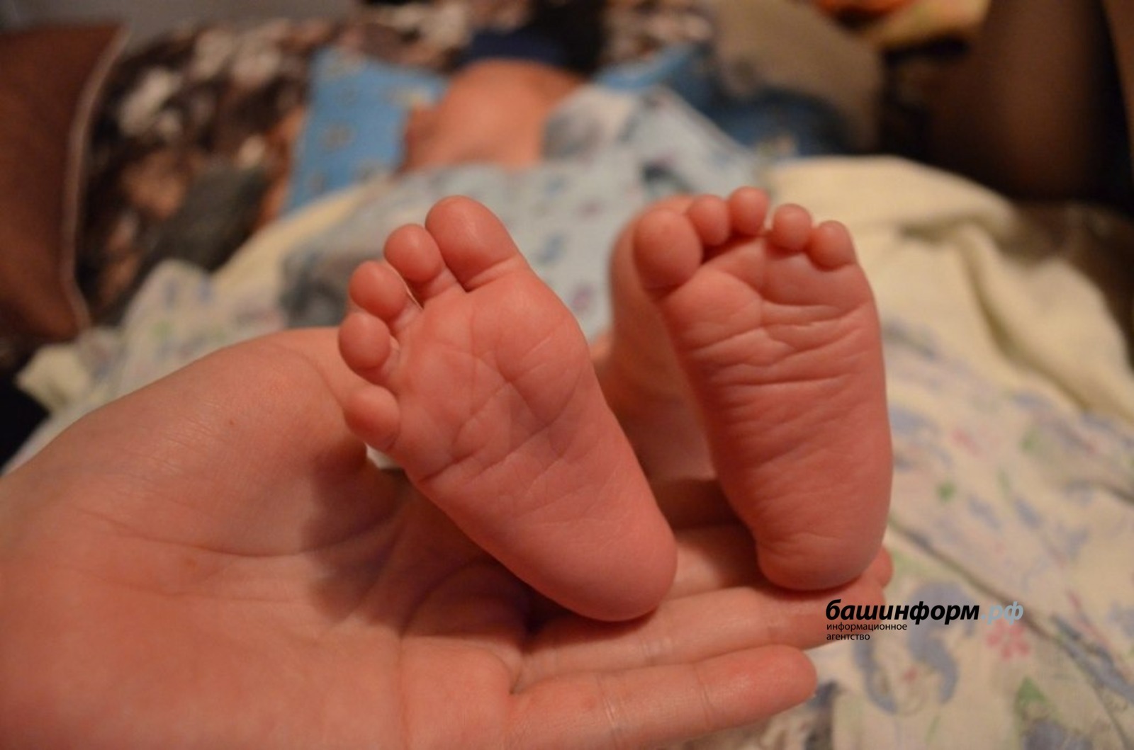 Ксения Калинина / «Башинформ» мәғлүмәт агентлығы