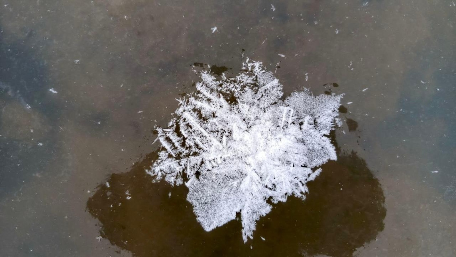 пресс-служба нацпарка «Зигальга» Первое Областное