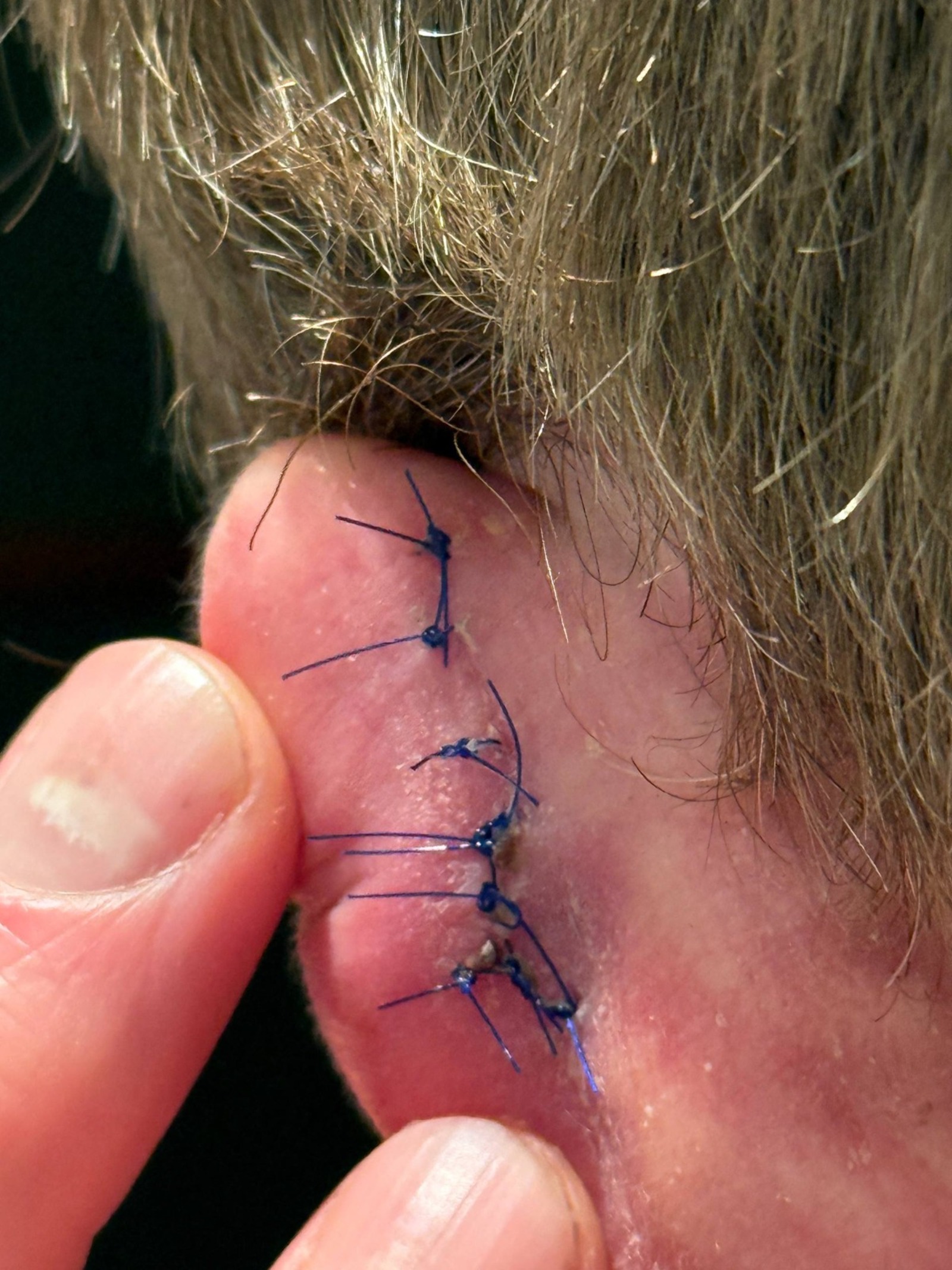 Григорий Панин  ТГ-канал "Раздевалка"