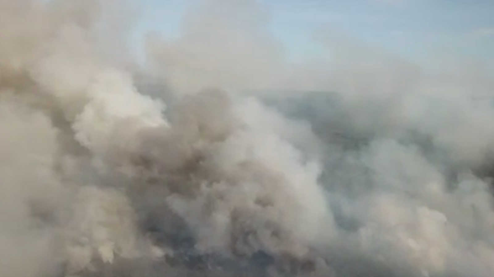 Стоп-кадр видео