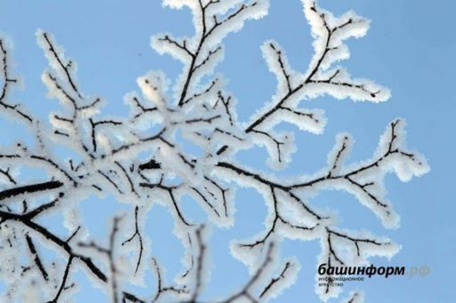 «Башинформ» мәғлүмәт агентлығы