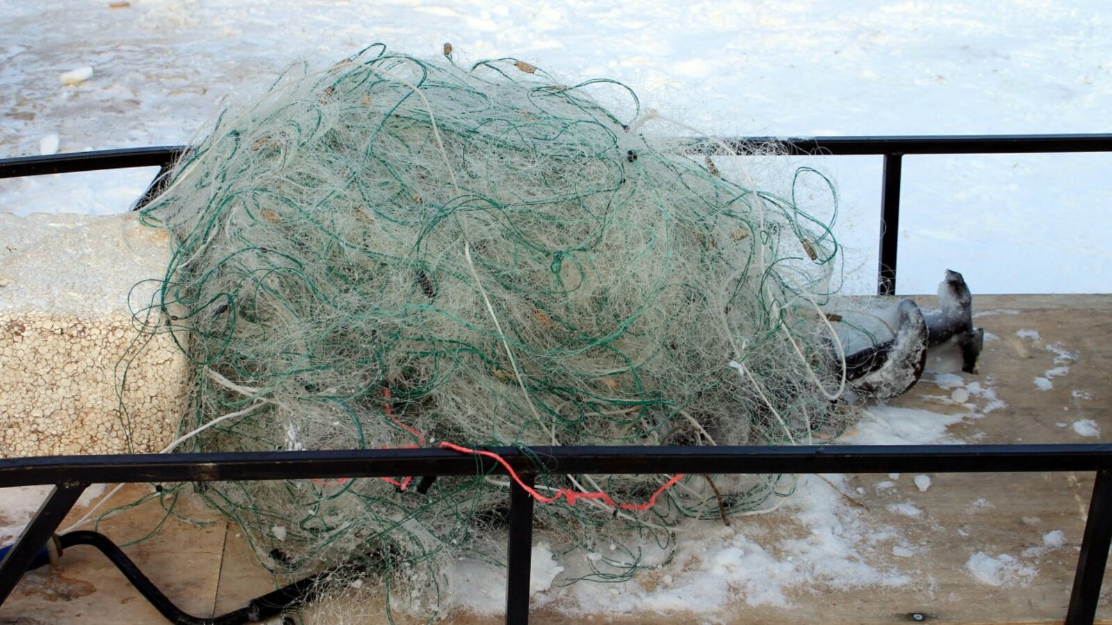 пресс-служба регионального отделения ОНФ