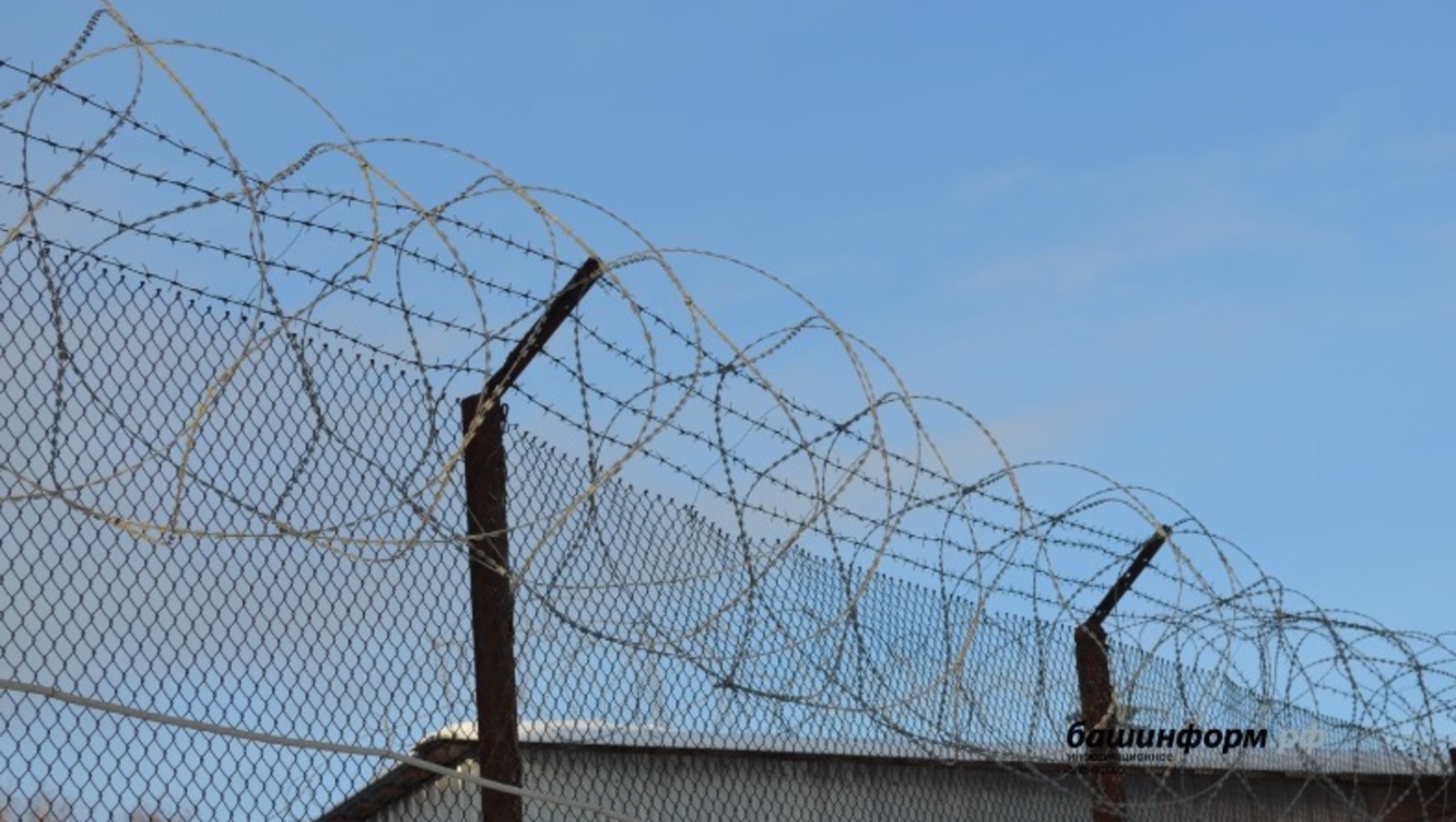 Ксения Калинина