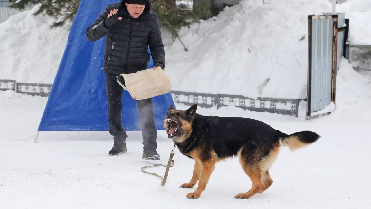 Валерий Шахов