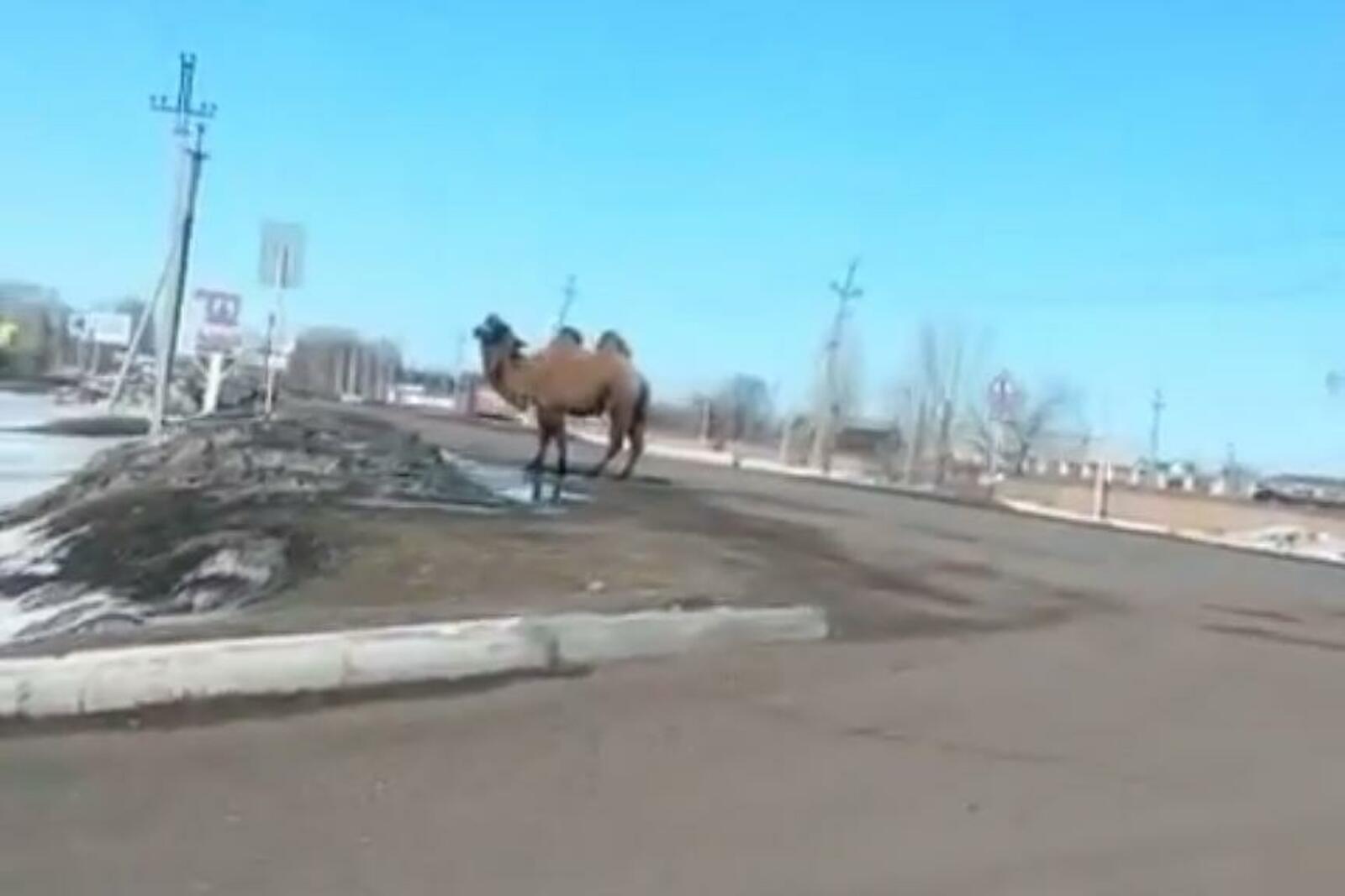 скриншот с видео в группе «БашДТП»