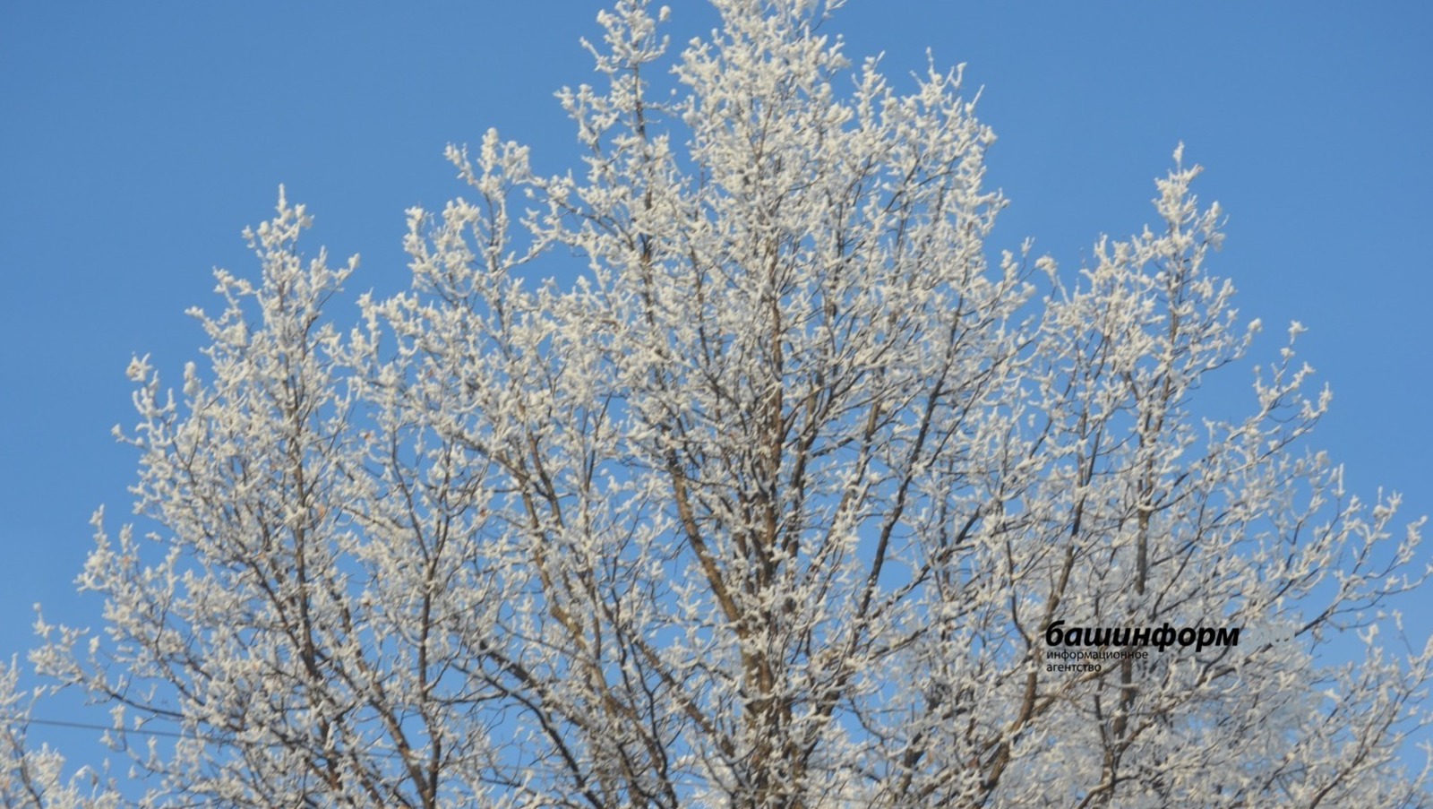 архив ИА Башинформ