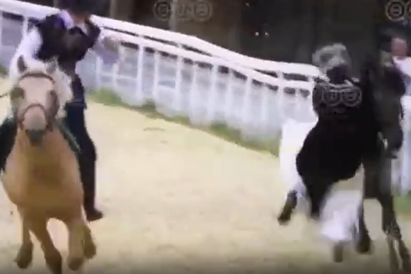 Стоп-кадр видео "Вся Уфа"