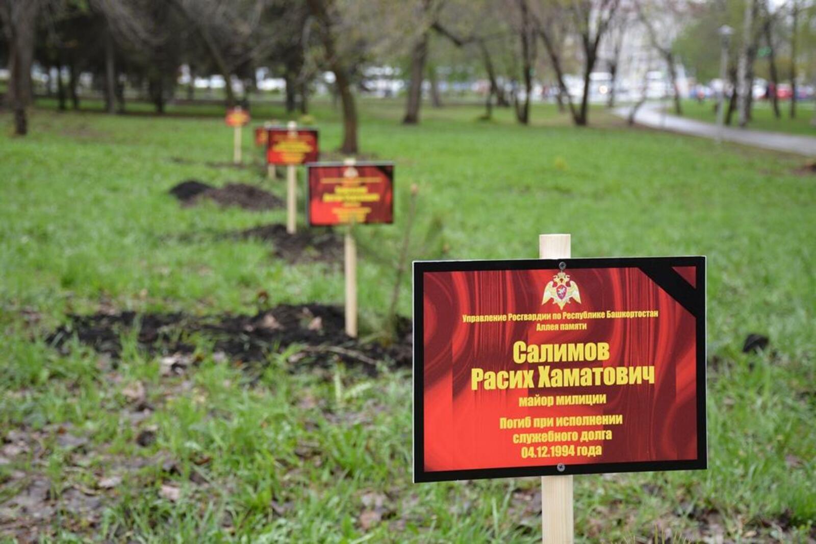 Дерево памяти картинка