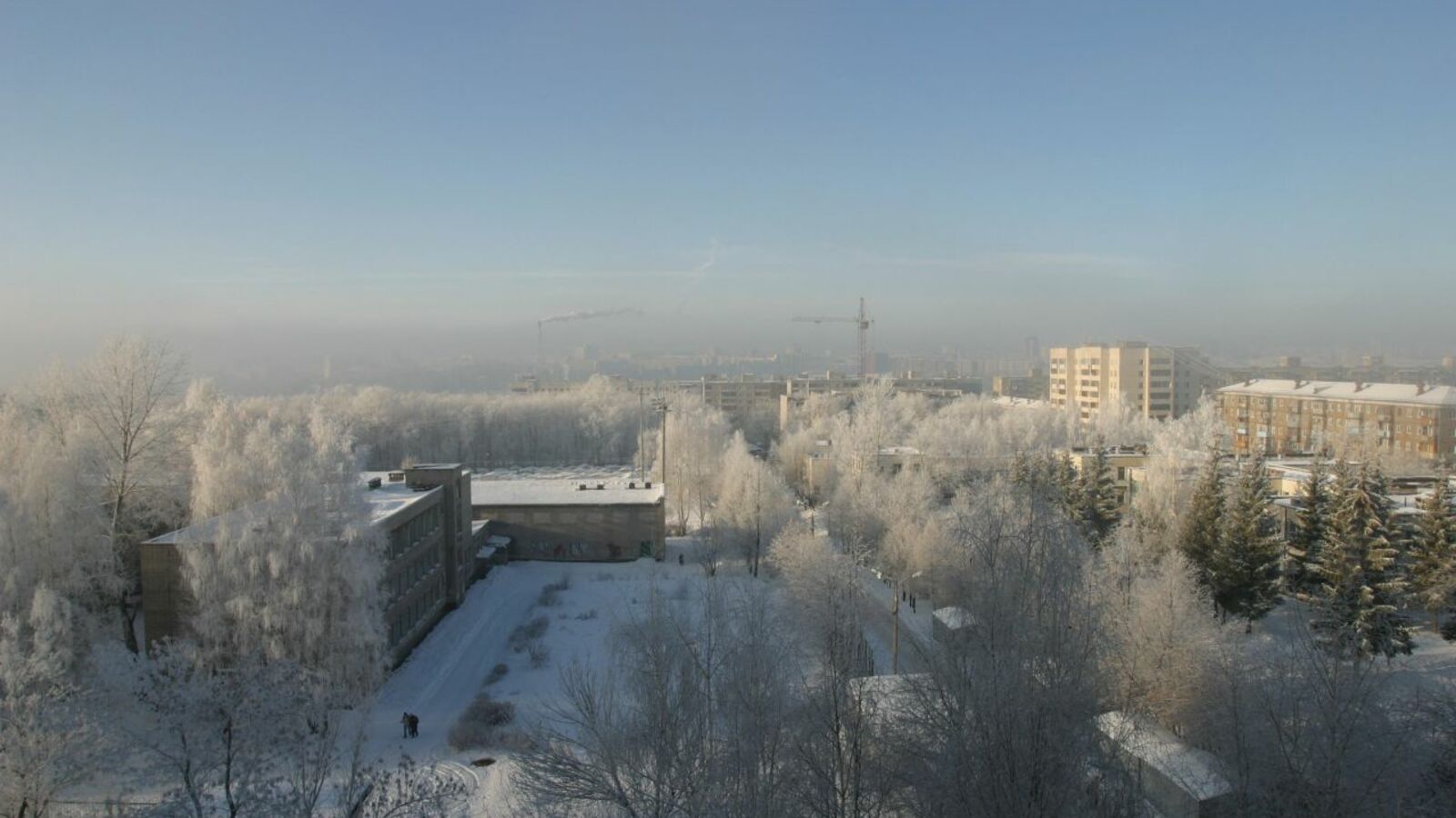 Андрей Старостин