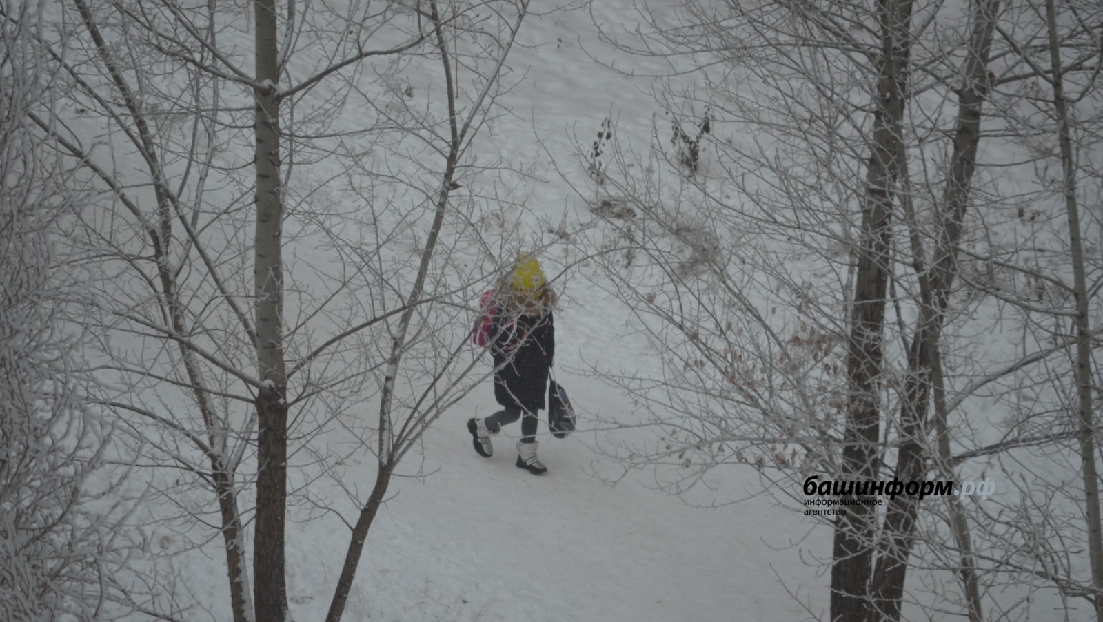 Ксения Калинина ИА Башинформ