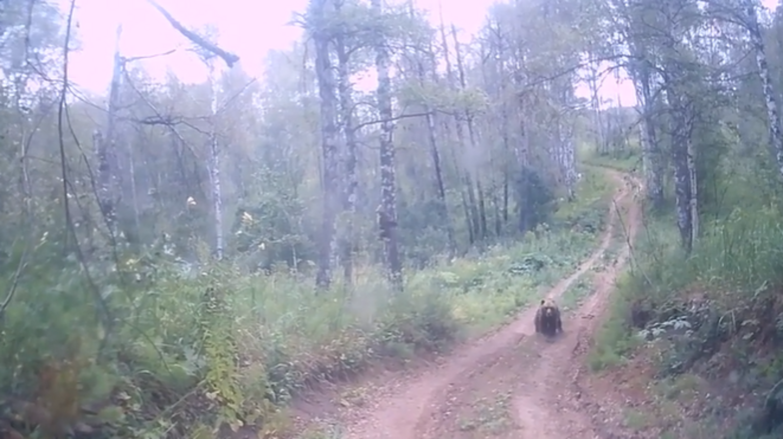 скриншот с видео