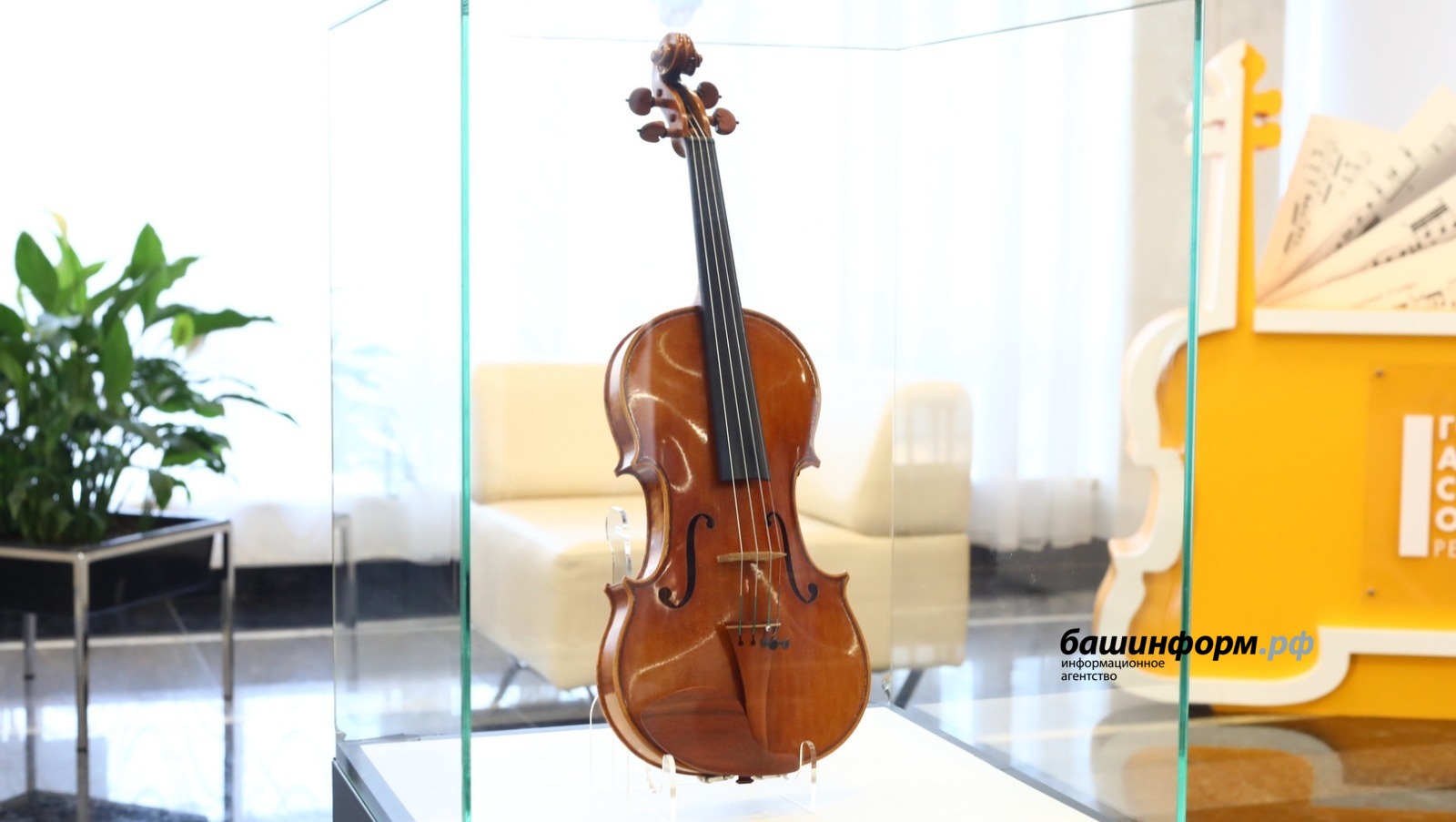 Валерий Шахов