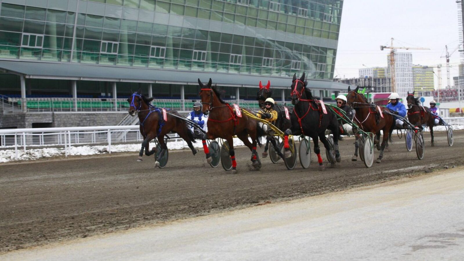 предоставлено ипподромом «Акбузат»