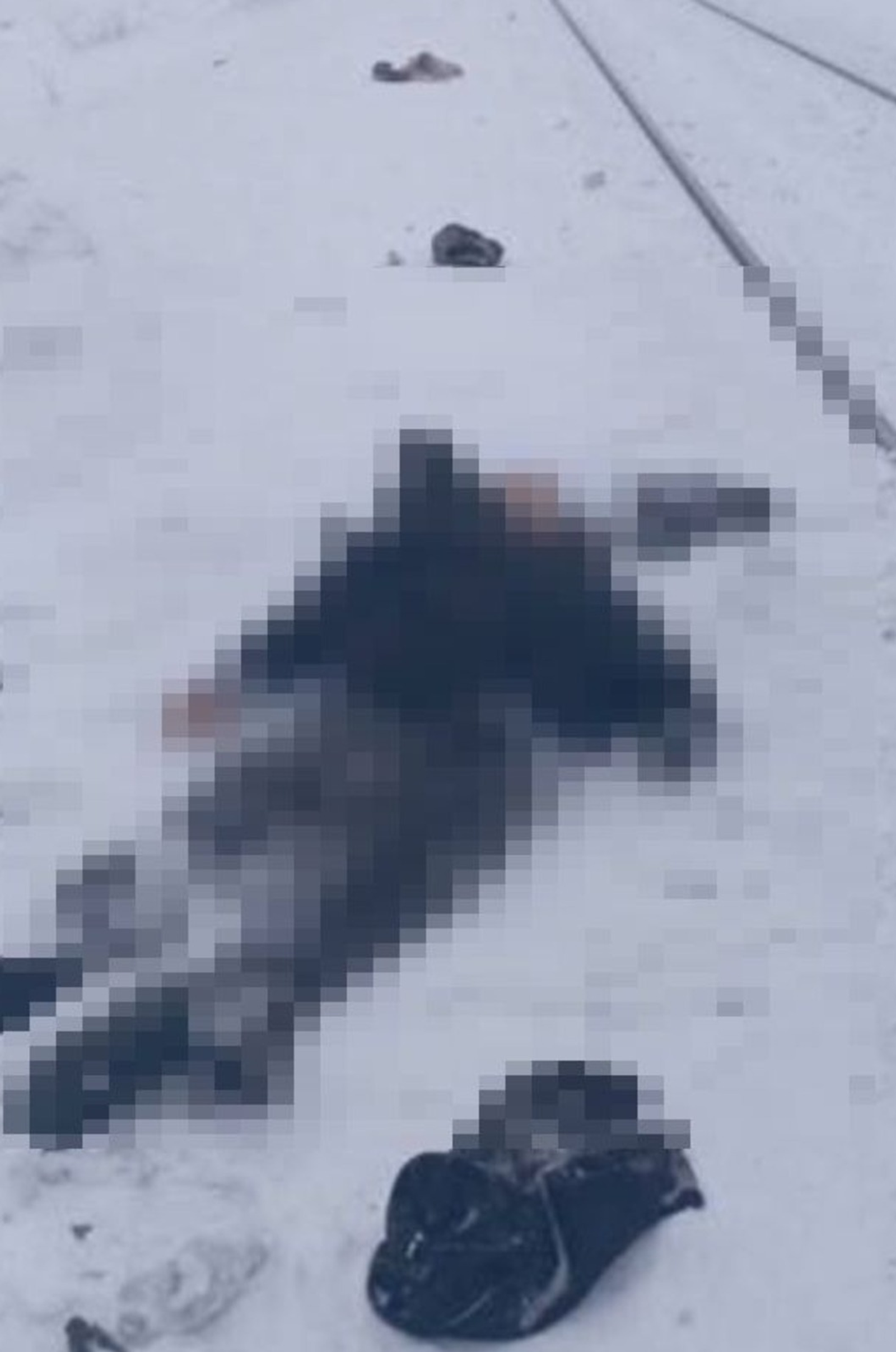 социаль селтәрҙәр